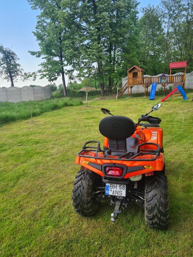 Pensiunea Anisoara Chiscau Bagian luar foto