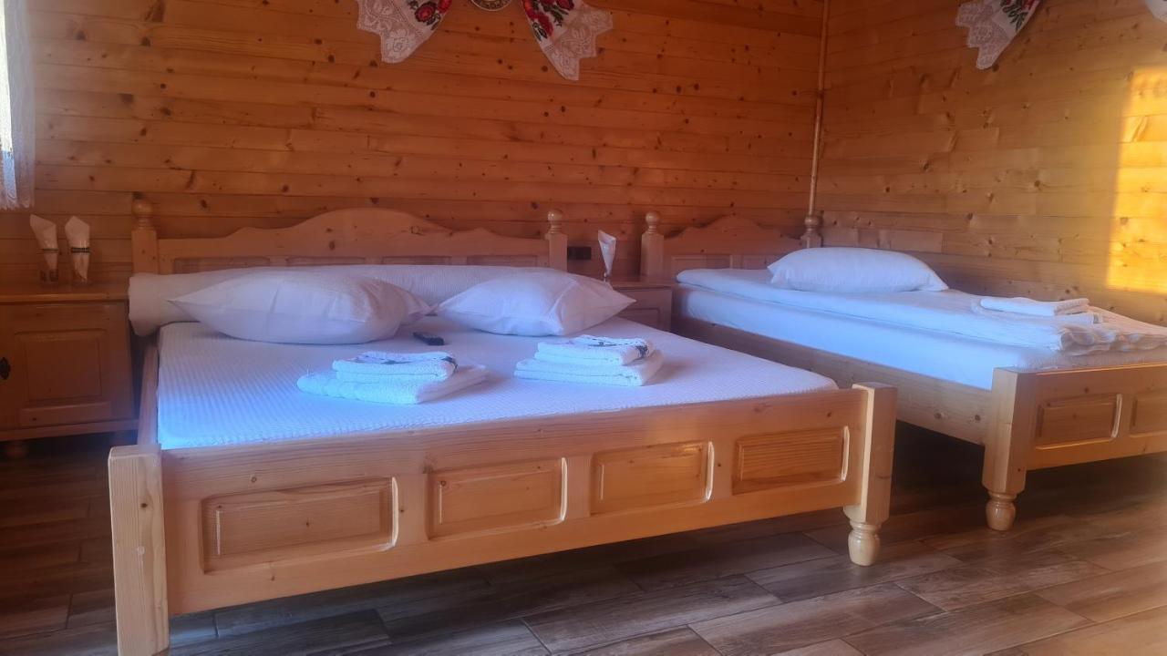 Pensiunea Anisoara Chiscau Bagian luar foto