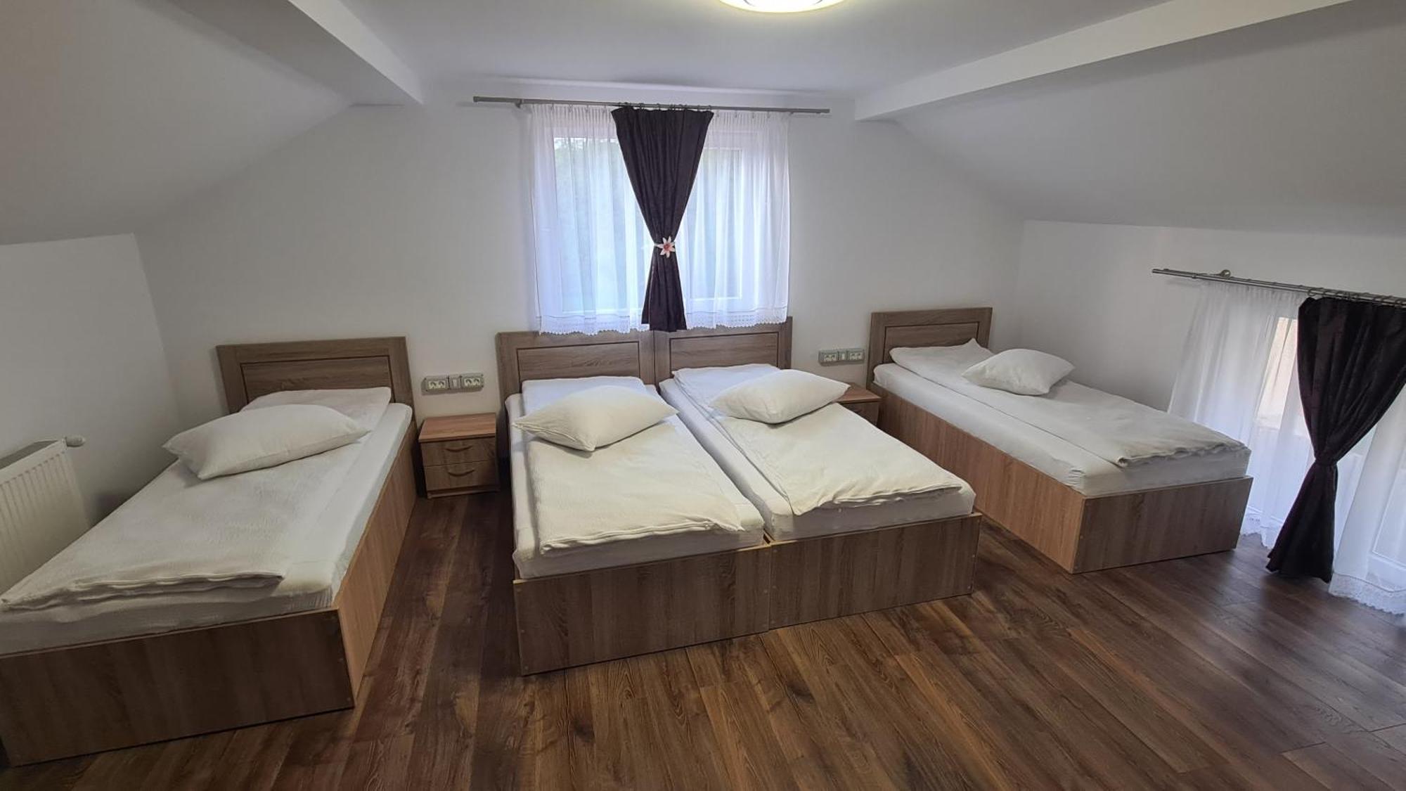 Pensiunea Anisoara Chiscau Bagian luar foto